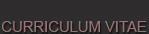 Curiculum Vite