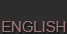 Curiculum Vite English